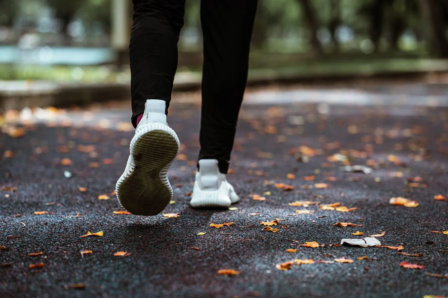 A person jogging on a tree-lined path, representing active, healthy living