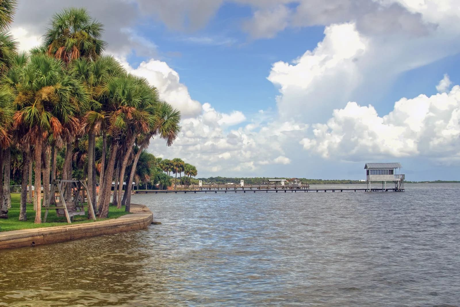 Tranquil Florida coastal landscape with palms and open sky